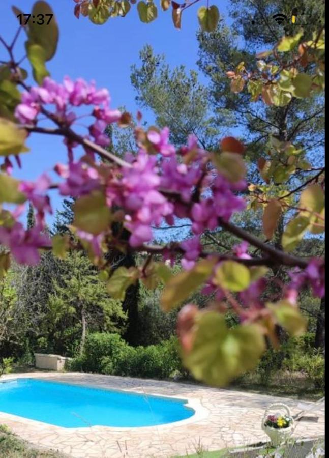 Charmant deux-pièces dans villa avec piscine privée Seillans Esterno foto